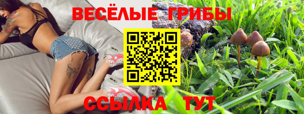 где купить наркоту  Вход с VPN  Аксай  Псилоцибиновые грибы Cubensis 