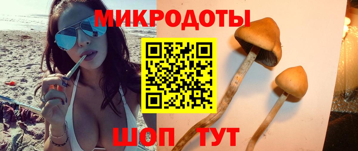 Галлюциногенные грибы Magic Shrooms Аксай